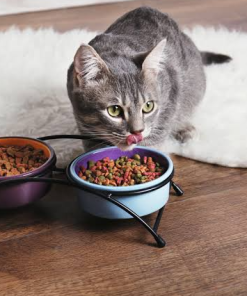 Senior Cat Gentle In-Home Care Package