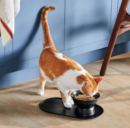Alternate-Day In-Home Cat Care Custom Package